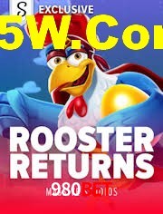 Crash Games Statistics 980Bet